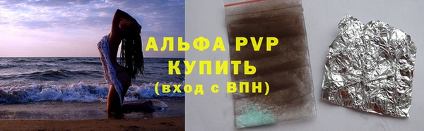 СК Ельня