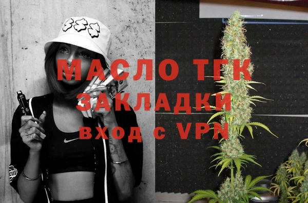 СК Ельня