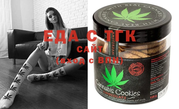 СК Ельня
