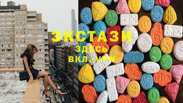 СК Ельня