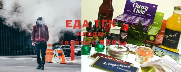 СК Ельня