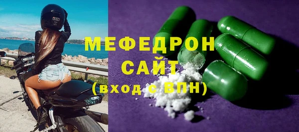 СК Ельня
