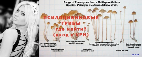 синтетический гашиш Елабуга
