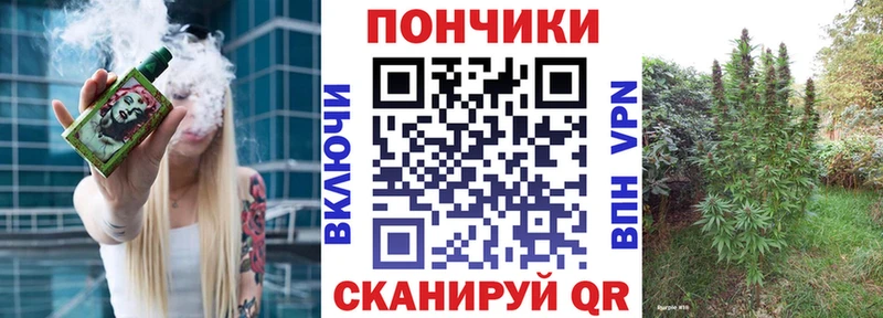 Бошки марихуана Amnesia  Купить закладки  Салехард 